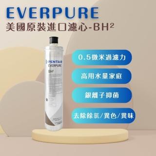 【濱特爾】EVERPURE BH2 美國原廠進口 平行輸入(BH2*1入裝 濾芯 濾心)