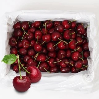 【RealShop】智利空運鮮採XJ/9.5R-10R櫻桃禮盒600g±10%(2-3JD智利櫻桃 真食材本舖)
