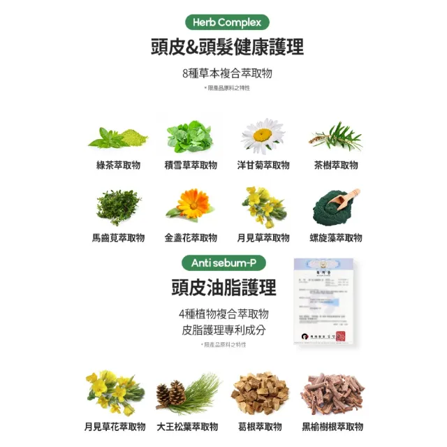 【LAVIEN 樂薇昂】絲滑柔順頭皮養護全效洗髮乳500ml(頭皮養護/強化髮根/輕盈蓬鬆)