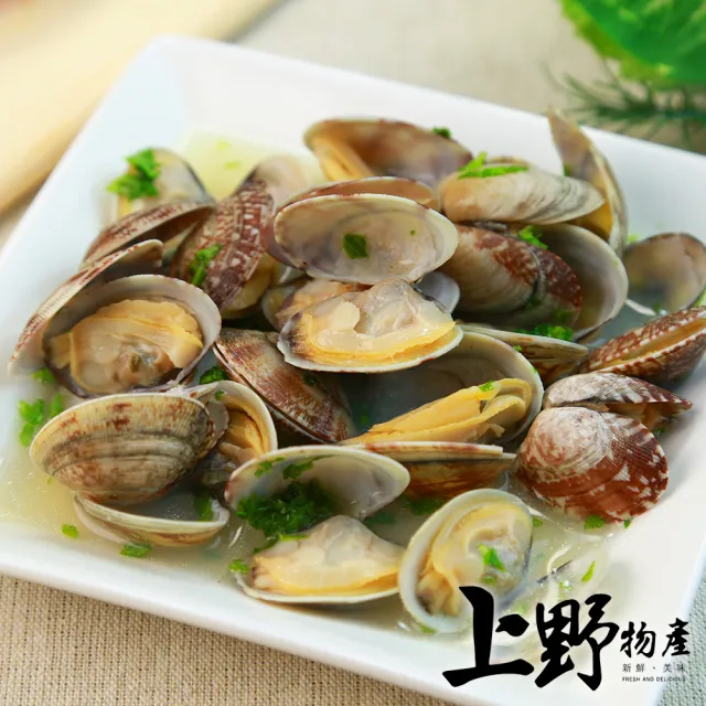 【2026】蛤蜊推薦ptt》10款高評價人氣品牌排行榜 | 好吃美食的八里人