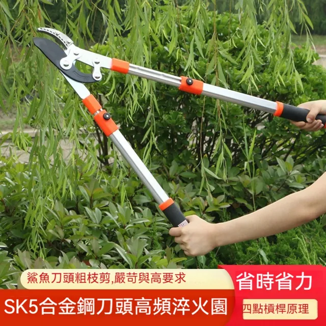 鯊魚口粗枝剪 果樹修枝剪 粗枝修剪神器 園林果樹剪刀(粗枝剪、園藝剪、果樹剪)