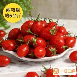 【一日三鮮】鮮採薄皮玉女小番茄 兩箱約3.6kg(3臺斤/箱)水果禮盒