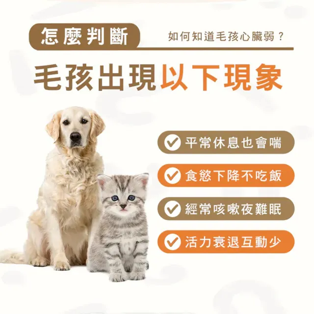 【HOMI 毛與家】心樂活 寵物心血管保健粉-30包x4盒(貓咪保健 老狗 老年貓狗 心臟保健 寵物保健品 犬貓適用)