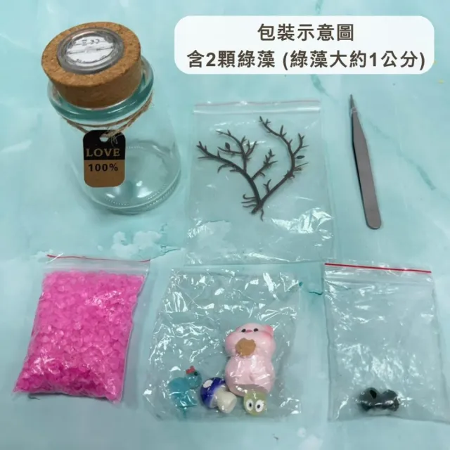 【A-ONE 匯旺】黑鯉魚+夜光荷花荷葉 創意植栽瓶 含2顆綠藻 白光LED 150ml布丁杯 DIY微景觀水草瓶