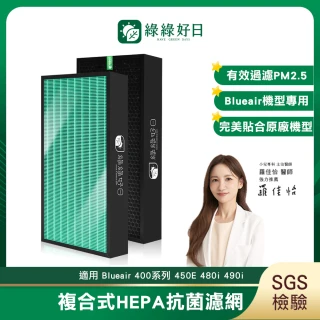 【綠綠好日】適用 Blueair 400/403/405/450e/480i/490i HEPA抗菌濾網+活性碳(濾芯 活性碳除臭)