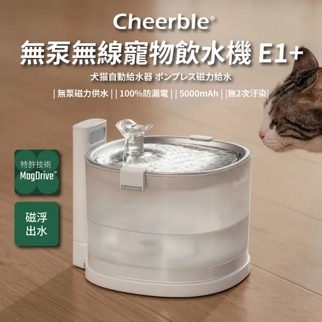 | BALIMAN情報局 【2026】貓咪飲水機推薦ptt》10款高評價人氣品牌排行榜 | BALIMAN情報局