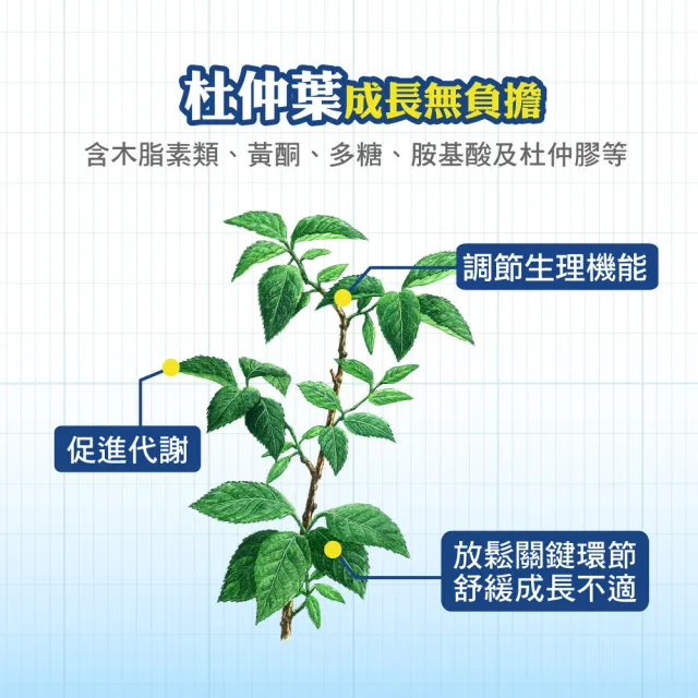 【順天本草】長大人成長膠囊正宗版-男方60顆/盒X4(黃金成長期、成長關鍵、順天堂集團、調整體質、成長補養)