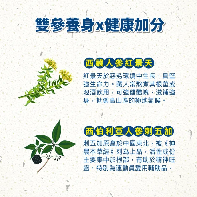 【順天本草】紅景天氧沛膠囊 3盒組(60顆/盒X3盒 紅景天 刺五加)