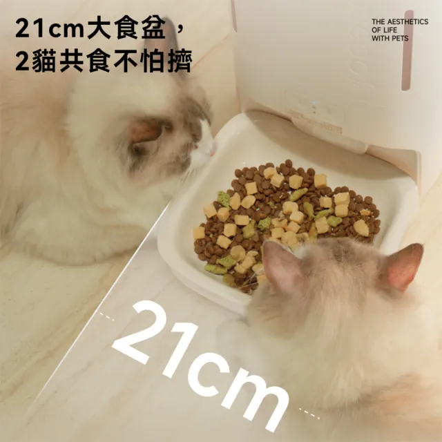 【meoof】慕斯雙倉智能餵食器 視訊版 附陶瓷食碗(5.5L 寵物餵食器 自動餵食器 鋰電池供電 無線使用)