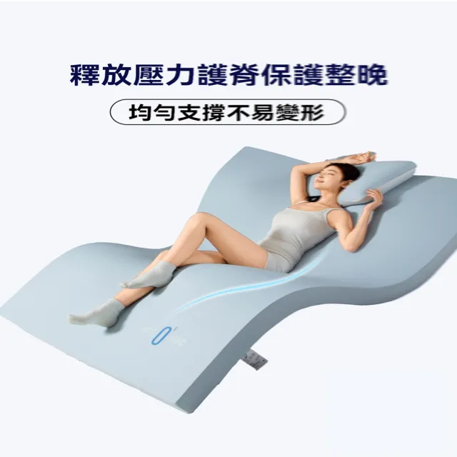 【p唐裔】防塌陷床墊 120x200 慢回彈 外套可拆 軟硬雙面用(床墊 床褥墊子 記憶床墊 臥室軟床墊 預售12天)