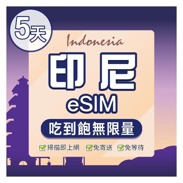 【環亞電訊】eSIM印尼05天吃到飽(eSIM 24H自動發貨五分鐘取件 免等待免換卡 吃到飽 不降速 印尼 印尼網卡)