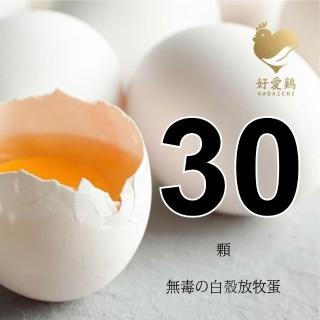 【HAOAICHI 好愛雞】無毒の白殼放牧蛋 小家庭單盤 共30顆(30顆/盤) 非籠飼 無藥殘 無毒飼料 雞蛋