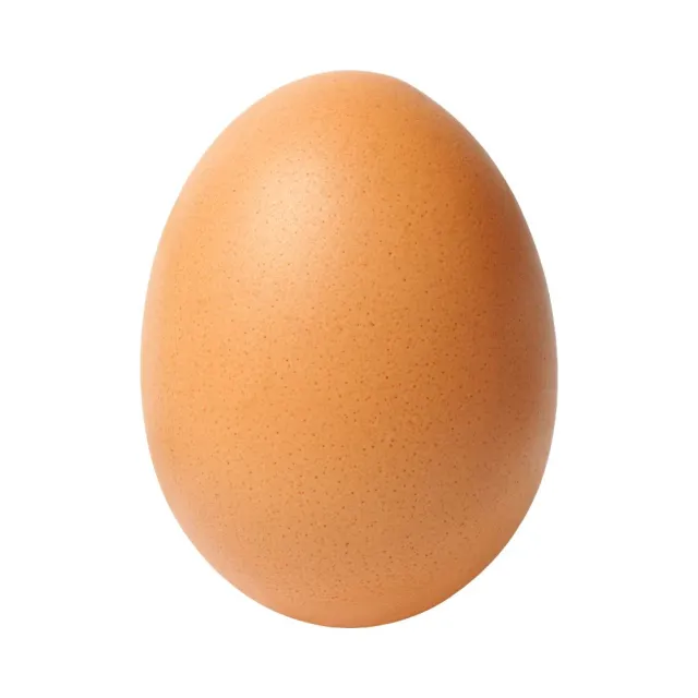 【好愛雞HAOAICHI】無毒の放牧蛋 紅殼 小家庭4盒 共40顆(10顆/盒 非籠飼 無藥殘 無毒飼料 雞蛋)