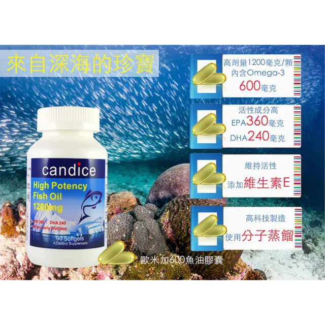 【Candice 康迪斯】歐米加600魚油膠囊/超級Omega-3 四瓶組(90顆/瓶)