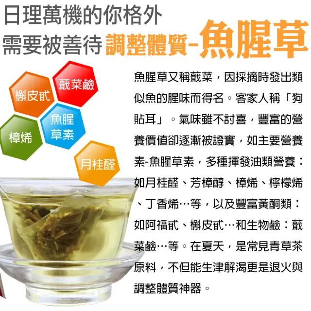 【蔘大王】魚腥草抵禦茶包X4組（6gX10入/組）(長效期版 保護養身 打好基礎 調解生理機能)