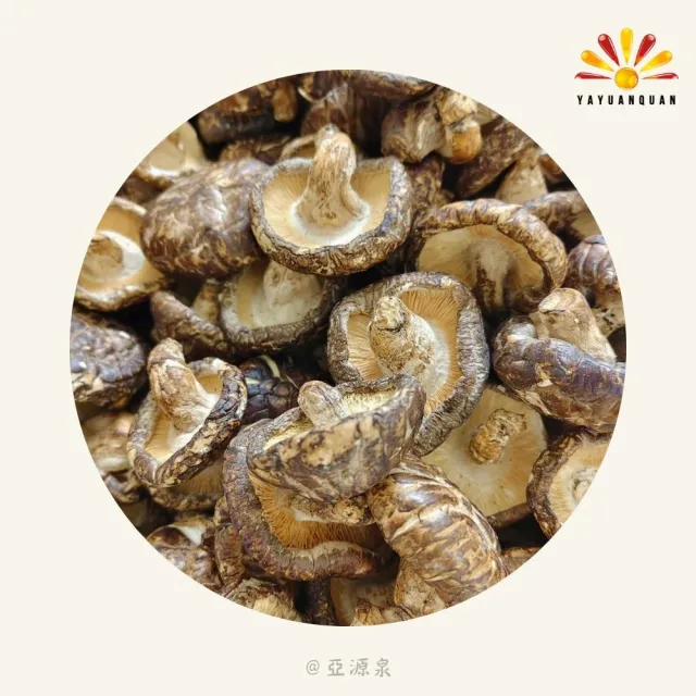 【亞源泉】椴木花菇  量批發 1公斤