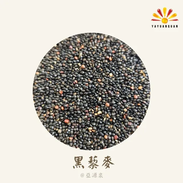 【亞源泉】藜麥量批發 紅/白/黑 三種任選 3公斤(三種藜麥任選)