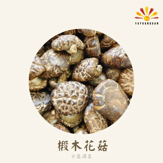 亞柏林 椴木花菇 量批發 3公斤