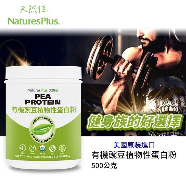 【NaturesPlus 天然佳】有機豌豆植物性蛋白粉 2入組 500G/瓶(健身管理好夥伴)