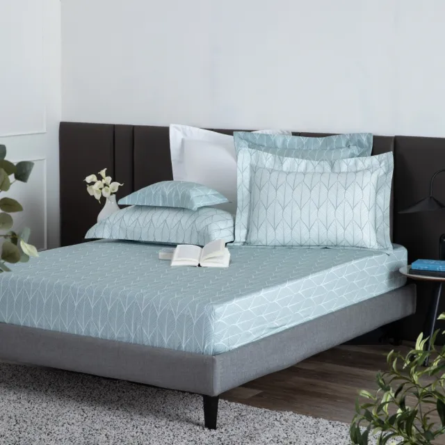 【WEDGWOOD】經典印花 床包枕套三件組(特大｜天絲/長纖棉 任選)