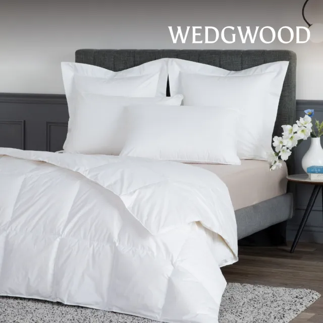 【WEDGWOOD】90%法國白鴨絨 抗菌羽絨薄被(雙人180x210cm｜填充400g)