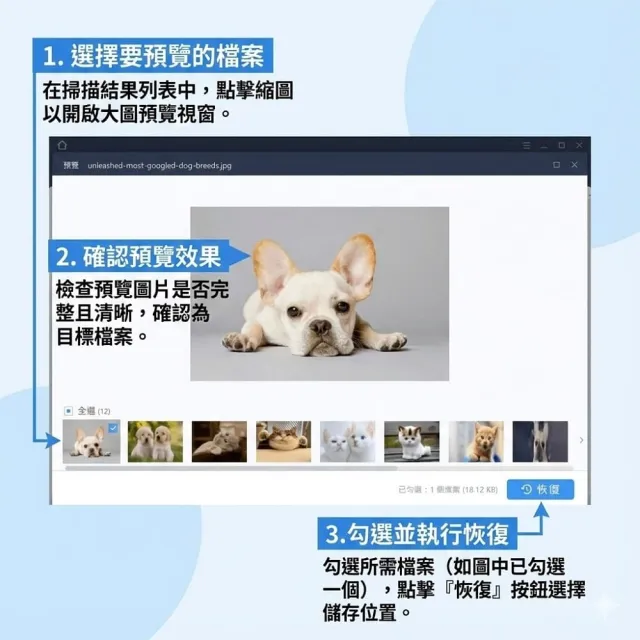 【EaseUS】Data Recovery終身 資料救援 硬碟救援 硬碟修復(台灣總代理-冠鋐電腦原廠合法授權認證)