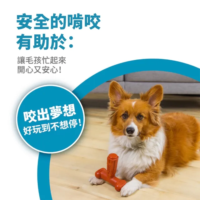 【Petstages】T型BBQ史迪克 寵物玩具 牛肉風味 潔牙 脊狀凹槽方便啃咬 狗玩具