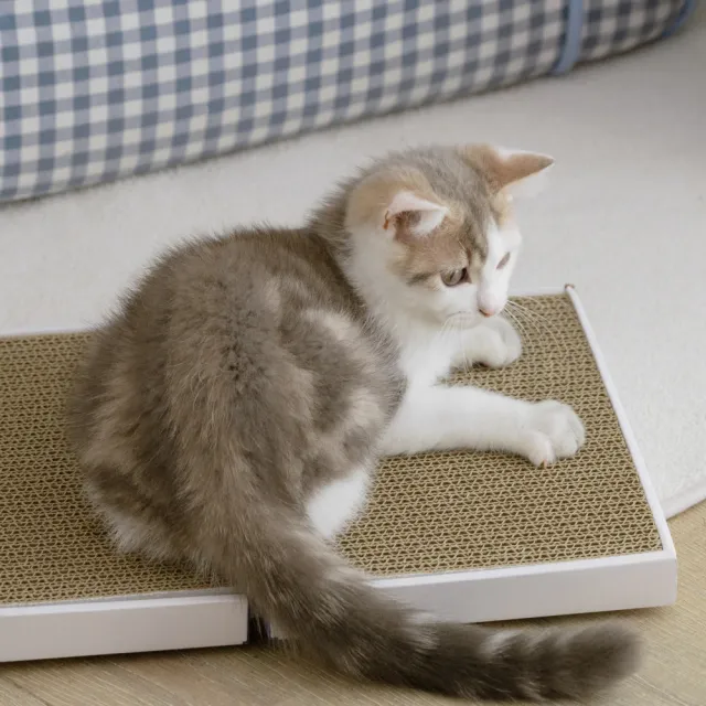 【翔仔居家】喵覓MeowMie聯名 貓臉書-貓抓板補充包3入(瓦楞紙/紙板/磨爪/耐磨/可替換/寵物貓咪/台灣製造)