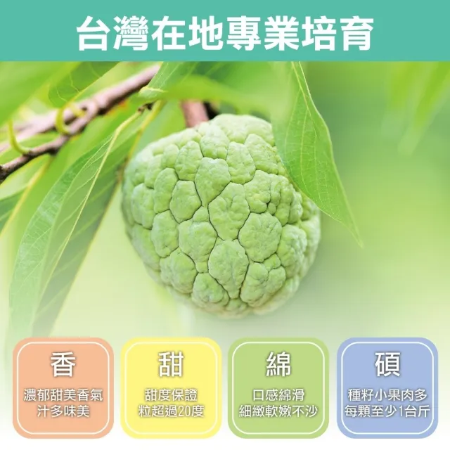 【WANG 蔬果】台東大目釋迦_特大果4-5顆x1箱(5斤/箱_果農直配)