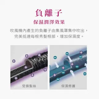 【TESCOM】雙電壓負離子吹風機 BID392TW