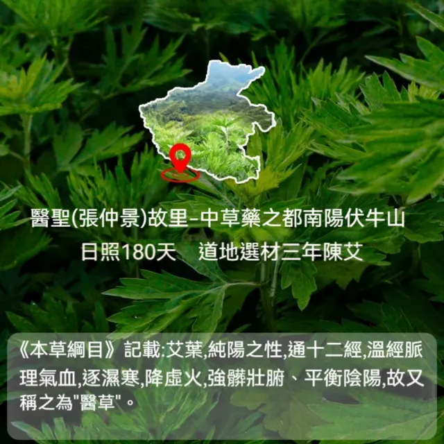 【楠阳艾】36貼-艾草頸椎貼膝蓋貼腰椎貼3款可選(熱敷貼 關節貼 肩周貼 緩解肌肉酸痛 痠痛貼布)