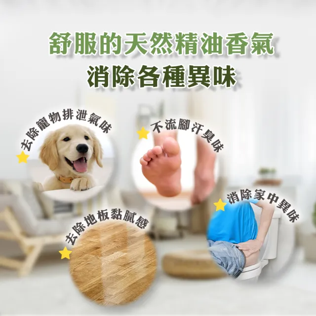 【綠森活】驅蟲職人-地板專用清潔劑3入(MIT台灣製造/天然植物精油/長效驅蟲/不傷害兒童及毛小孩)