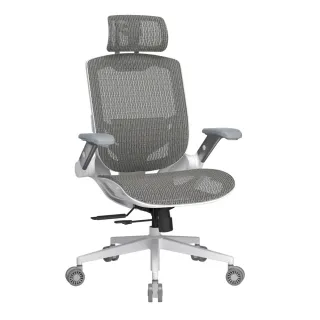 【COUGAR 美洲獅】SPEEDER ONE 白色 電競人體工學網椅(自行組裝/白色/2D摺疊扶手)