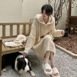 【AS 梨卡】女裝 連帽 洋裝 連身裙 長裙 針織裙 長洋裝 針織洋裝 毛衣洋裝 冬天洋裝DR309(連身裙 針織洋裝)