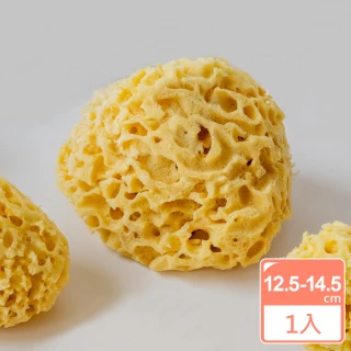 【BIOESTI】希臘地中海天然海綿蜂巢款12.5-14.5公分 一盒一入(洗澡沐浴用)