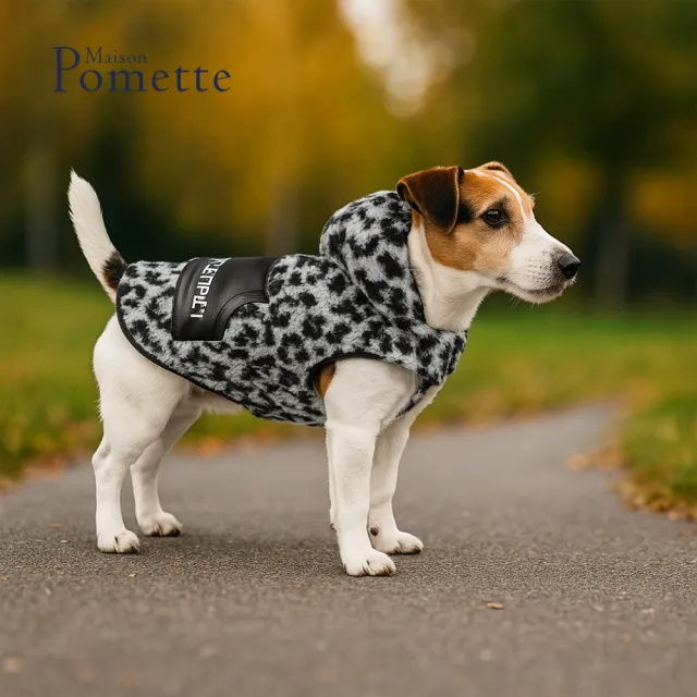 【Maison Pomette】復古豹紋連帽絨衣.黑色 狗狗衣服 S-2XL(瑪頌·波美特)