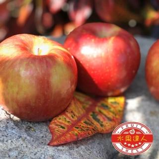 【水果達人】美國富士蘋果12顆裝x1盒(300g /顆)(年節送禮 春節禮盒)