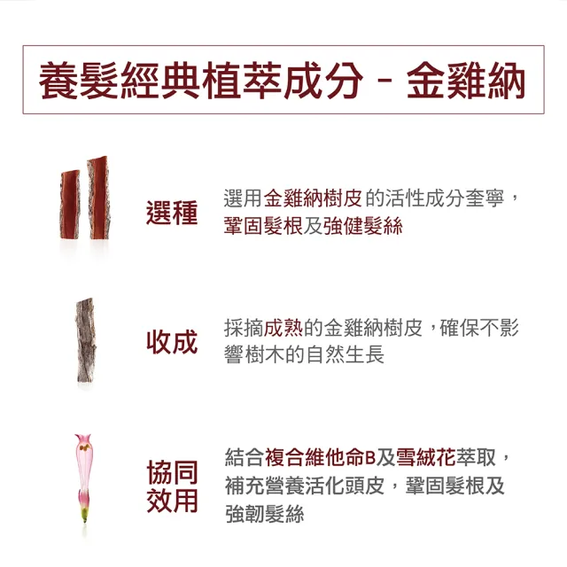 【KLORANE 蔻蘿蘭官方直營】3入組 養髮洗髮精400ml