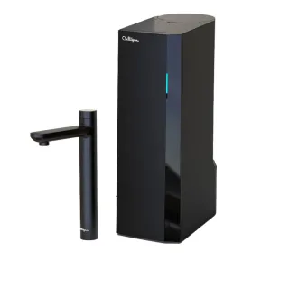 【美國Culligan 康麗根】櫥下RO瞬熱雙溫飲水機 AVE-T2800(大水量/雙溫/瞬熱/免費基本安裝/RO)