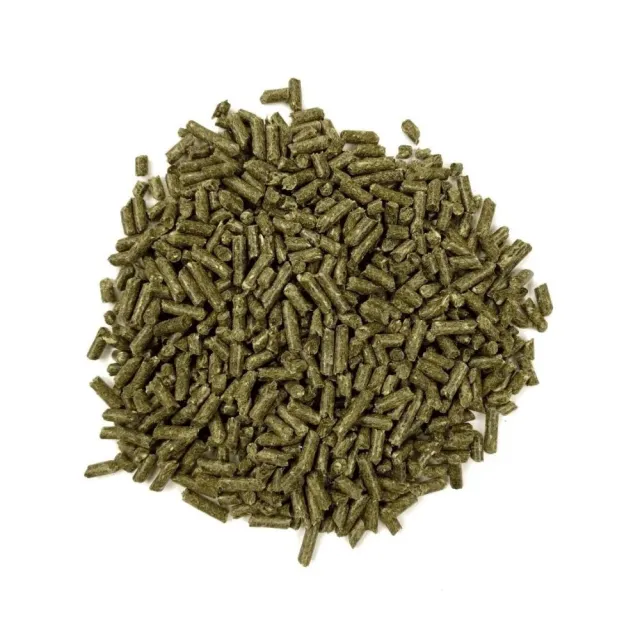 【OXBOW】活力-龍貓配方飼料 3磅/1.36kg(美國OXBOW、龍貓飼料、壓縮糧、龍貓糧)