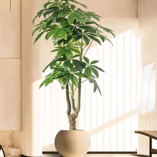 【諾必行】客廳輕奢仿真發財樹綠植(170cm假盆栽 假樹 仿生植物 擺件造景 假花)