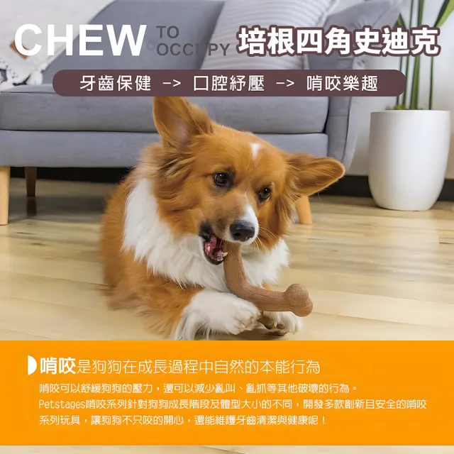 【Petstages】四角史迪克 寵物玩具 培根風味 中型犬大型犬適用 磨牙棒 潔牙 耐咬 狗玩具