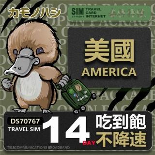 【platypus 鴨嘴獸】Travel Sim 美國 14天 喫到飽不降速 上網絡卡(喫到飽網絡卡 上網絡卡 旅遊卡 漫遊卡)