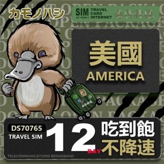 【platypus 鴨嘴獸】Travel Sim 美國 12天 喫到飽不降速 上網絡卡(喫到飽網絡卡 上網絡卡 旅遊卡 漫遊卡)