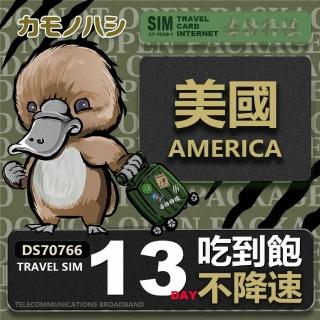 【platypus 鴨嘴獸】Travel Sim 美國 13天 喫到飽不降速 上網絡卡(喫到飽網絡卡 上網絡卡 旅遊卡 漫遊卡)