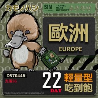 【platypus 鴨嘴獸】Travel Sim 歐洲22天 輕量型上網絡卡(歐洲上網絡卡 歐洲網絡卡 喫到飽網絡卡)