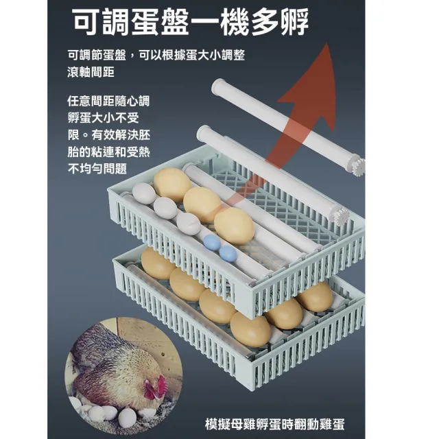 【諾必行】24枚恒溫孵化櫃 全自動孵化器(雞蛋孵化機 蘆丁雞孵蛋器 孵化箱 孵蛋器)