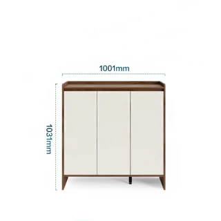 【SongSH】入戶鞋櫃 家用門口收納一體靠墻鞋架 玄關(入戶鞋櫃/玄關櫃/鞋櫃)