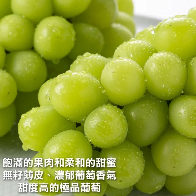 【WANG 蔬果】韓國麝香葡萄特大串2串x1盒(600-700g/串_水果禮盒/三節禮盒)