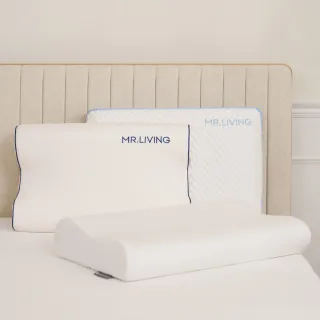 【MR. LIVING 居家先生】買一送一 減壓記憶枕系列/枕頭 任選(涼感枕/蝶型枕/高低枕)